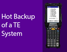 Hot Backup of a TE System