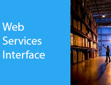 Web Services Interface