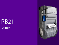 PB21